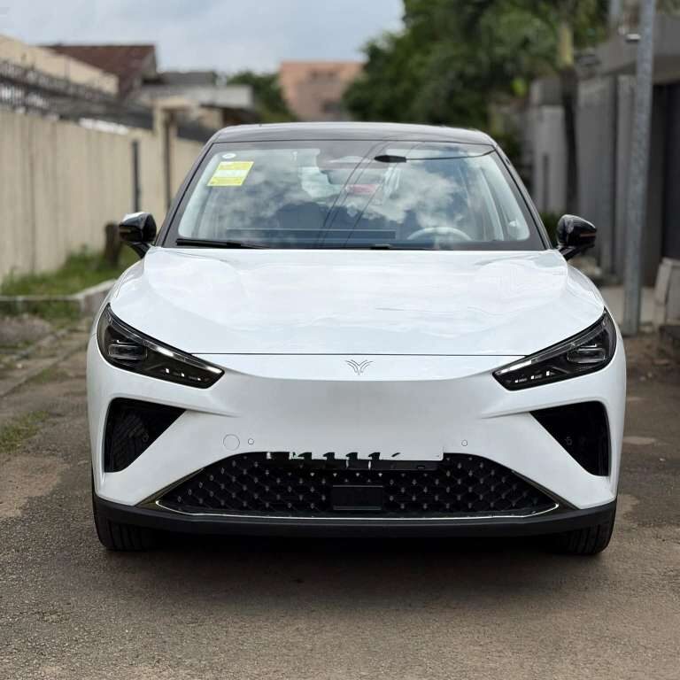 Neta L année 2024 🇨🇳 100% chinoise