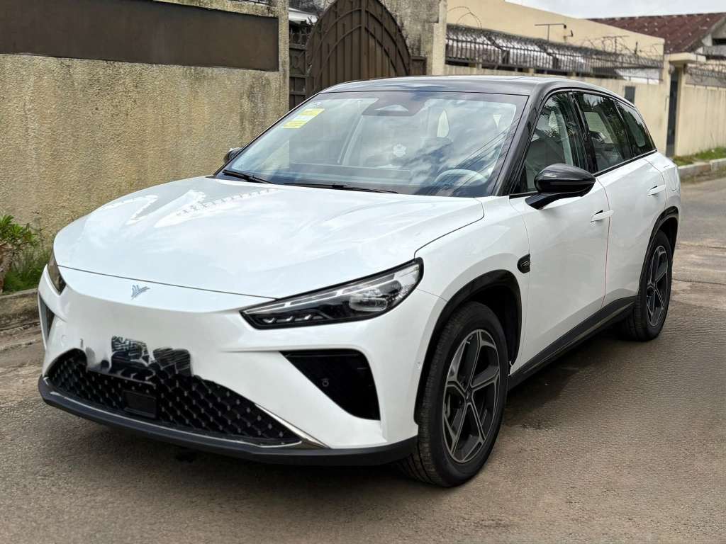 Neta L année 2024 🇨🇳 100% chinoise – Image 2