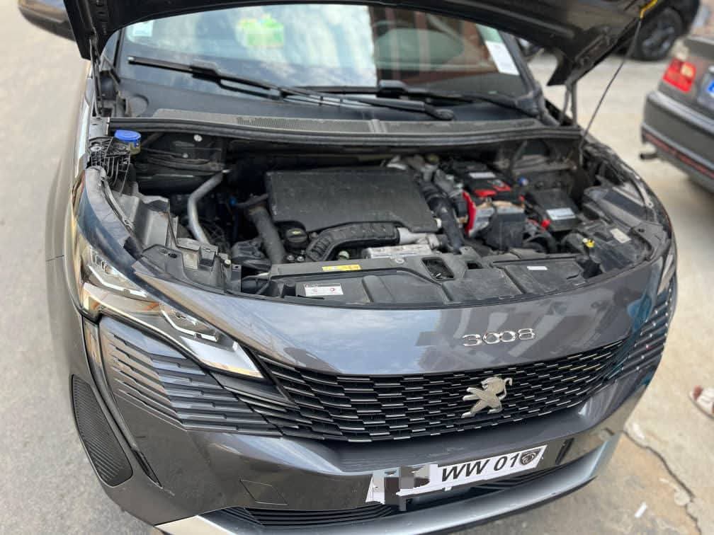 Peugeot 3008 année 2022