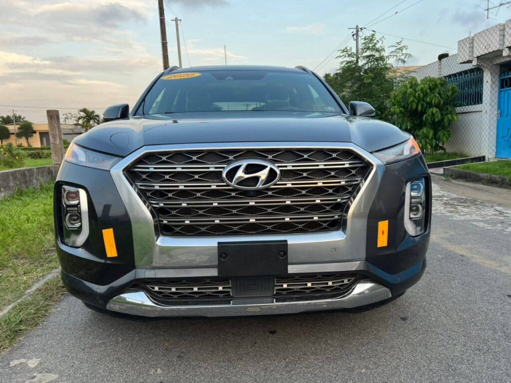 Hyundai Palissade Caligraphie 2020